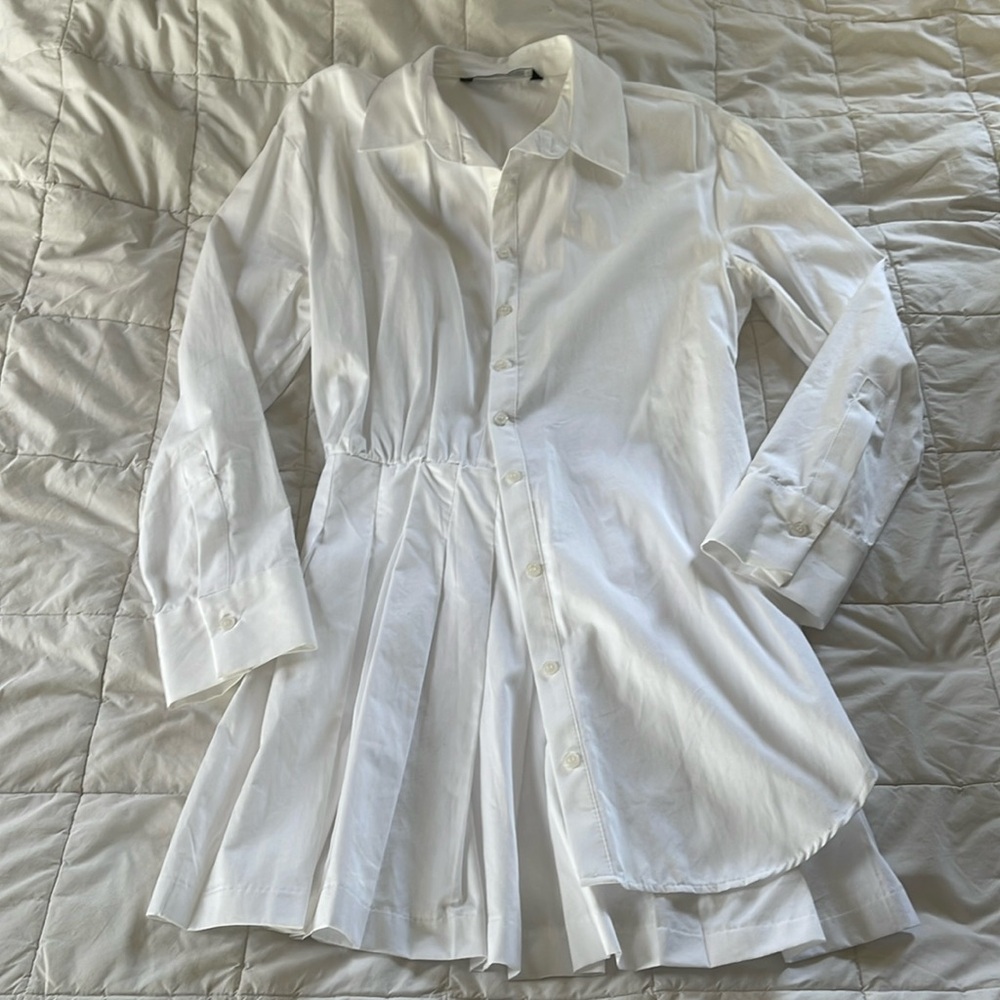 Zara dress